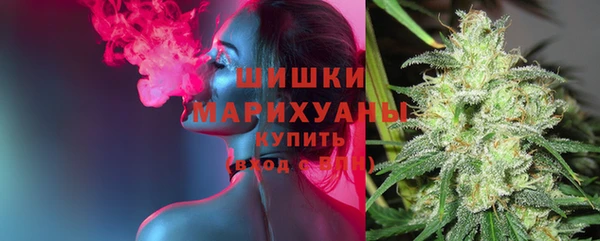 крисы Армянск